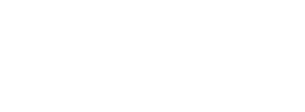 Handyman service Singapore logo White